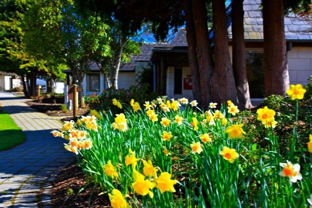 Distinction Te Anau Hotel & Villas Exterior photo